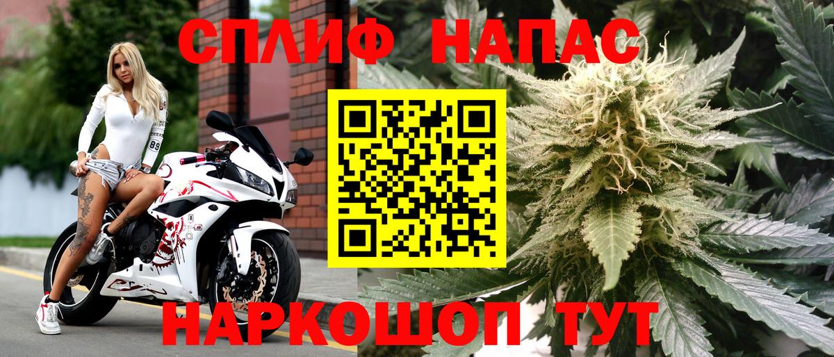 Марихуана план Канск